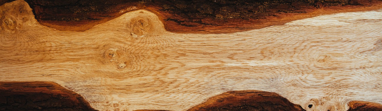 wood texture tree free photo