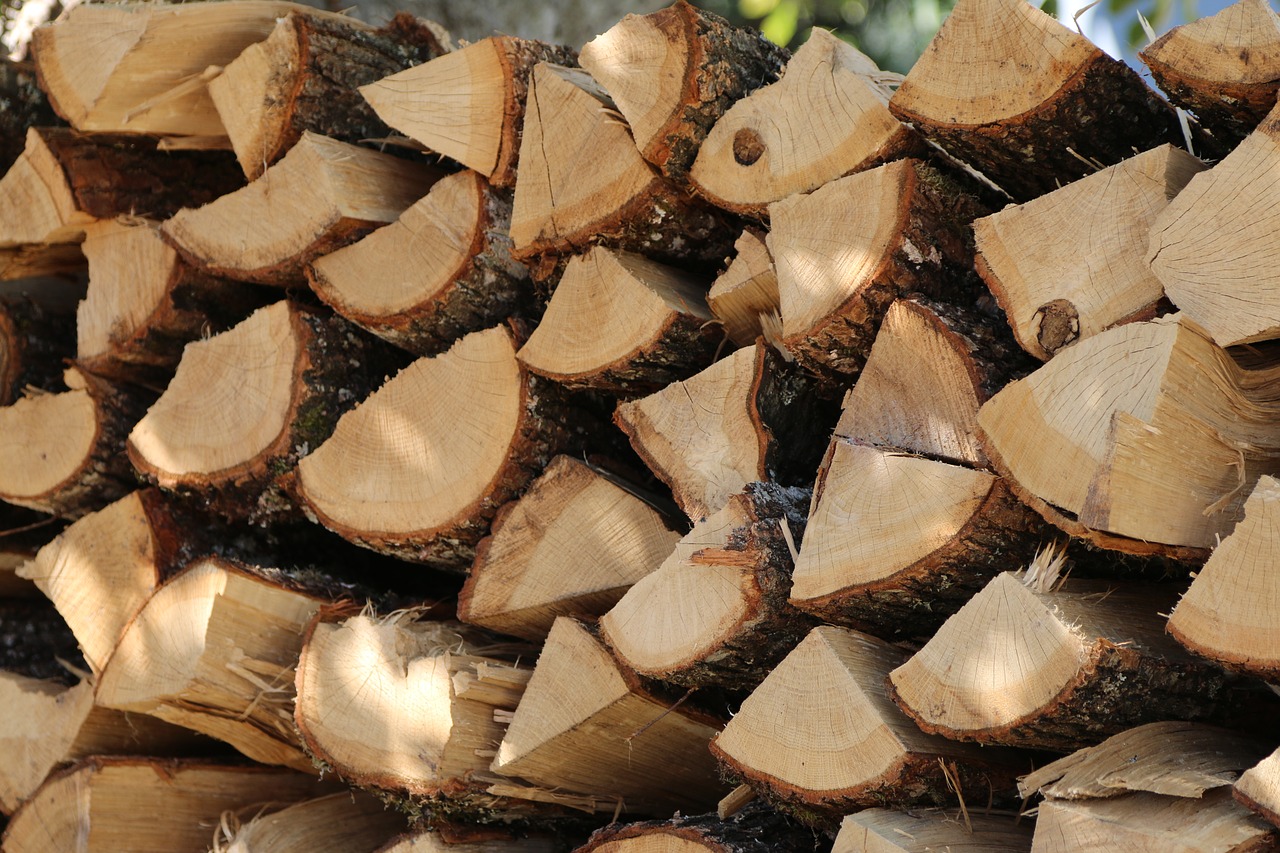 wood  logs  nature free photo