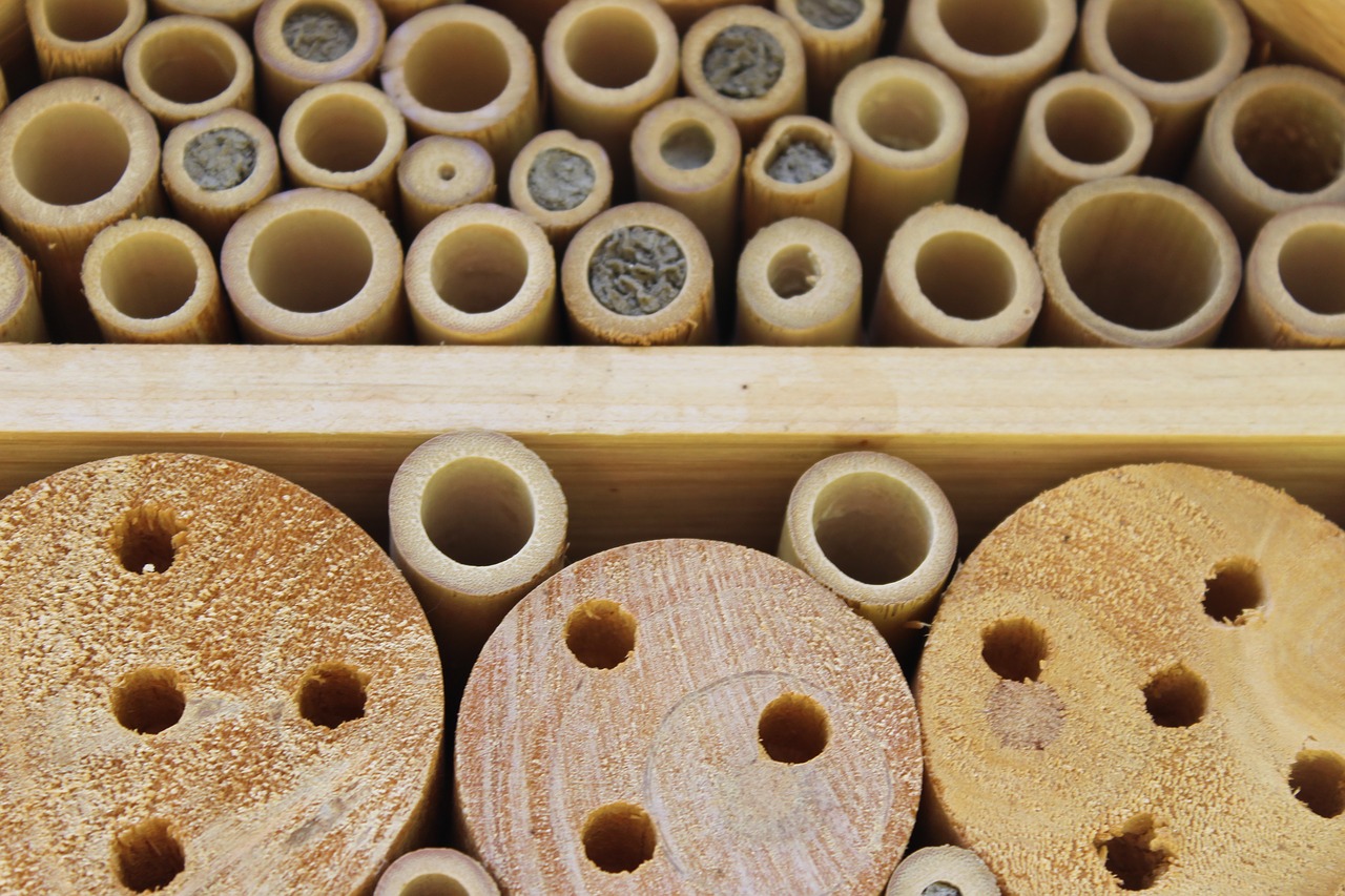 wood  insect  insect hotel free photo