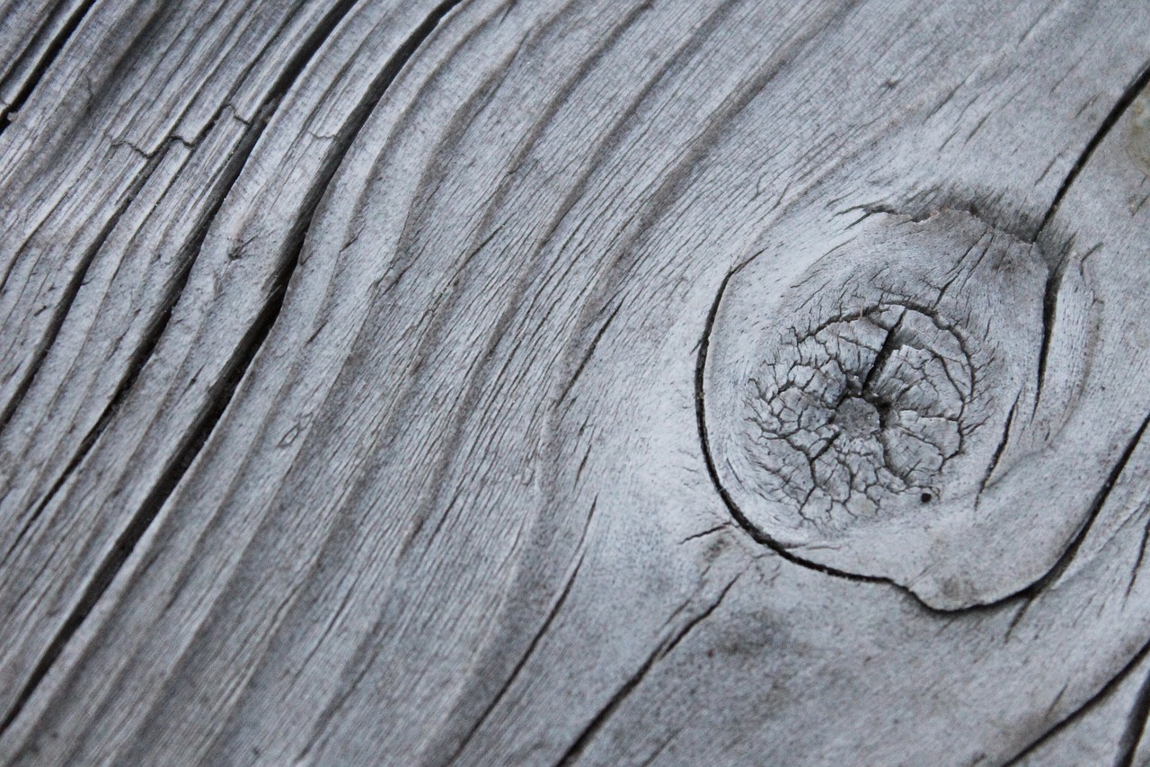 wood  plank  texture free photo