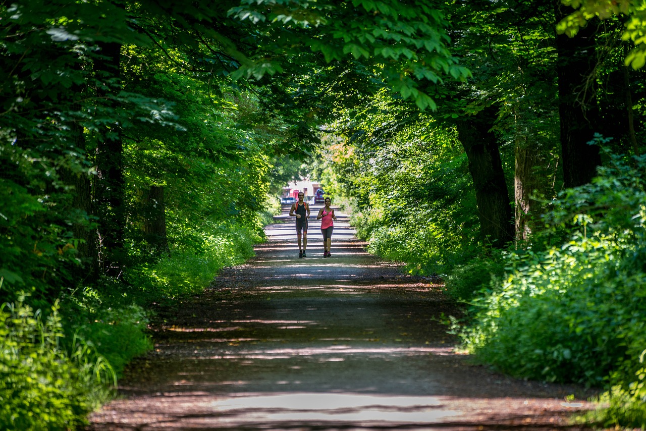 wood  couple  summer free photo