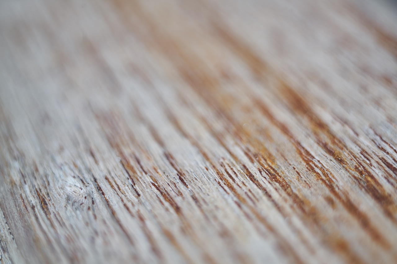 wood  texture  pattern free photo