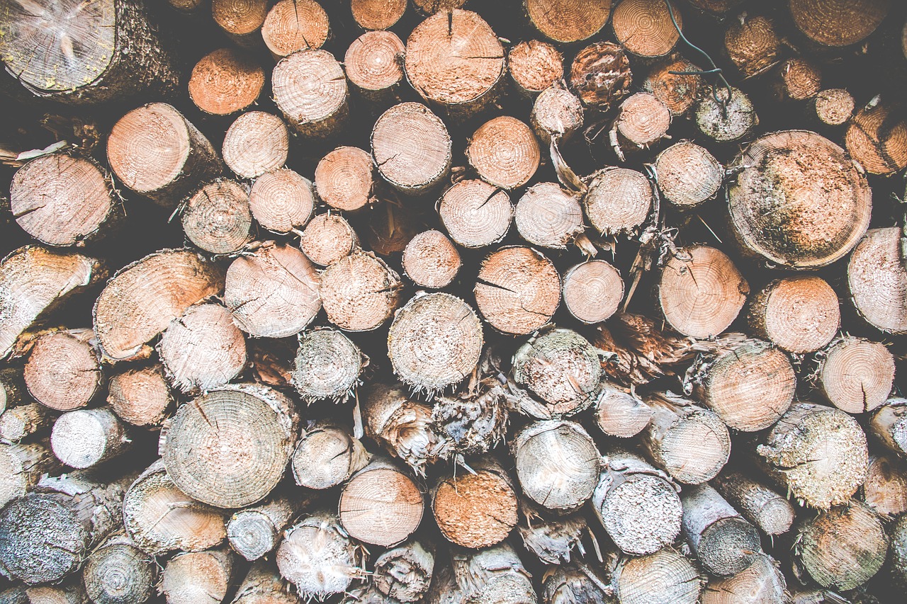 wood  logs  firewood free photo
