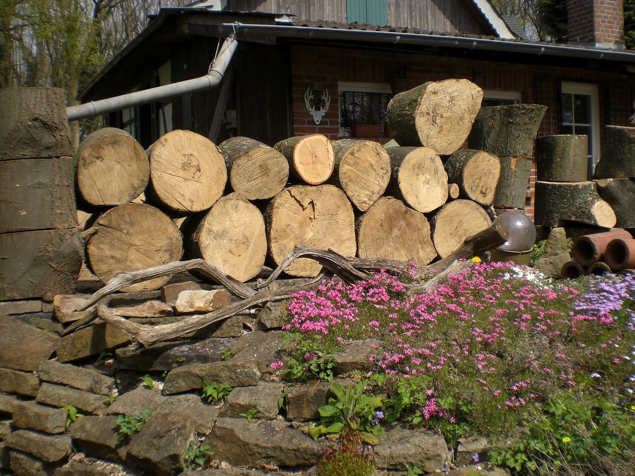 wood strains timber free photo