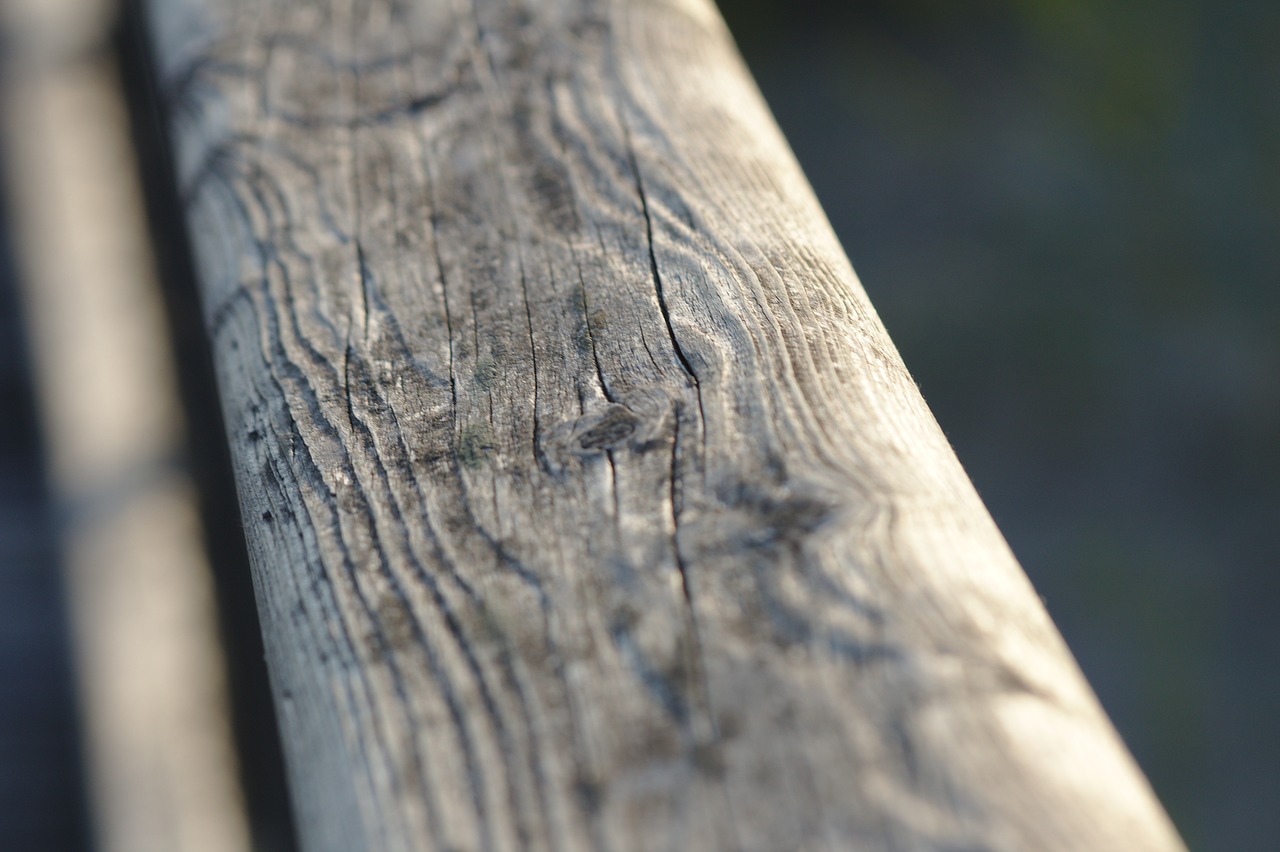 wood  beach  railing free photo