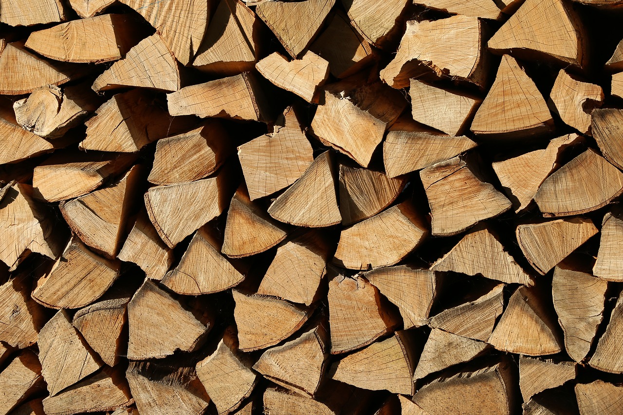wood  heating season  firewood free photo