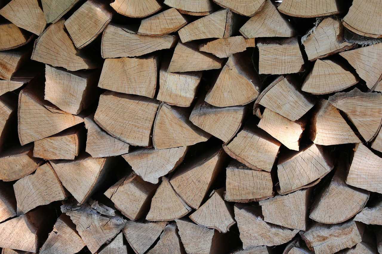 wood  heating season  firewood free photo