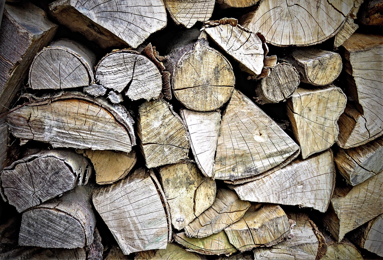 wood  firewood  tree trunks free photo