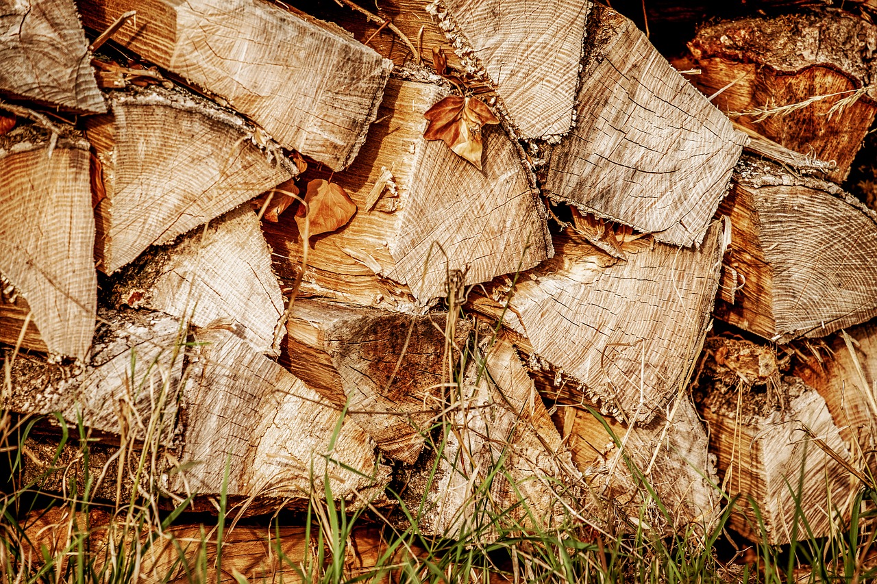 wood  logs  log free photo
