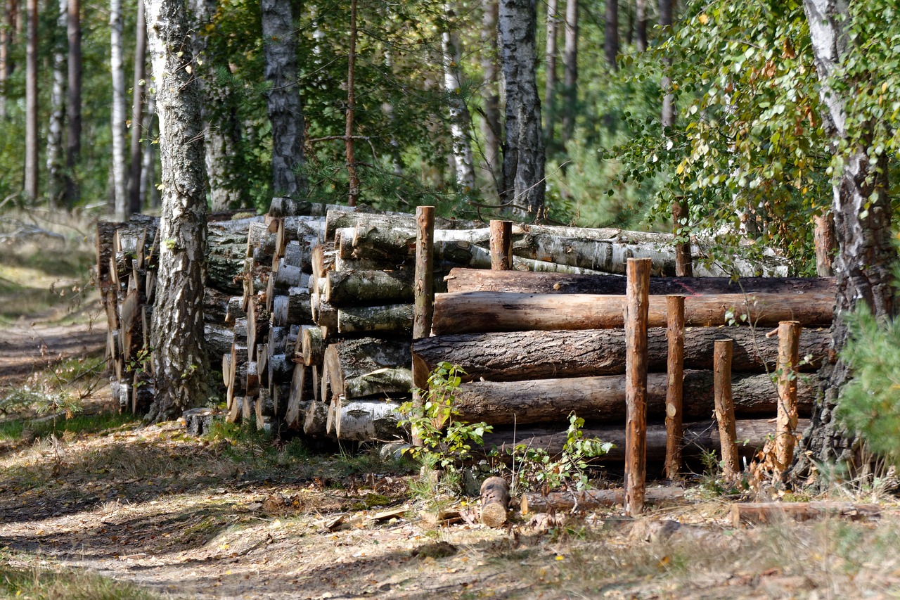 wood  bale  felling free photo