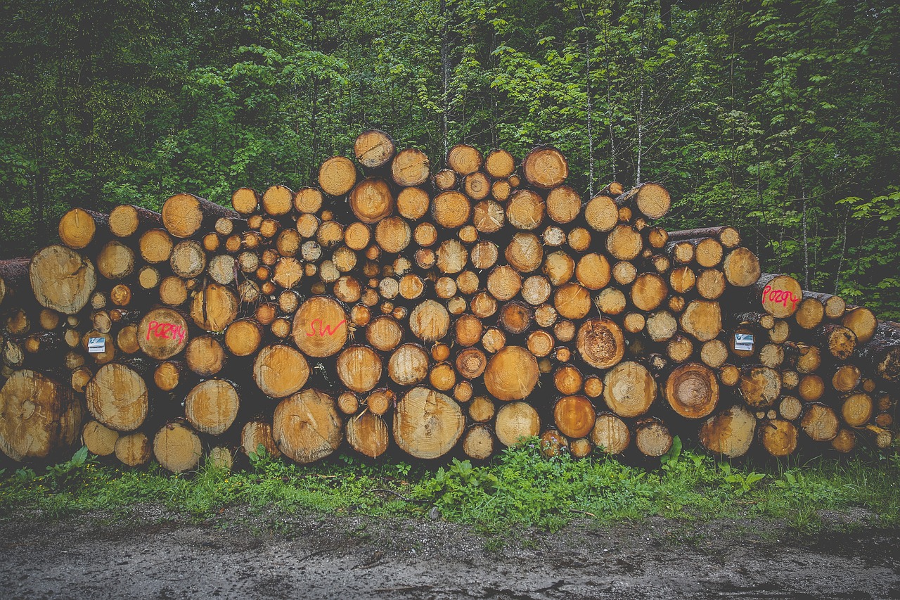 wood  firewood  stack free photo