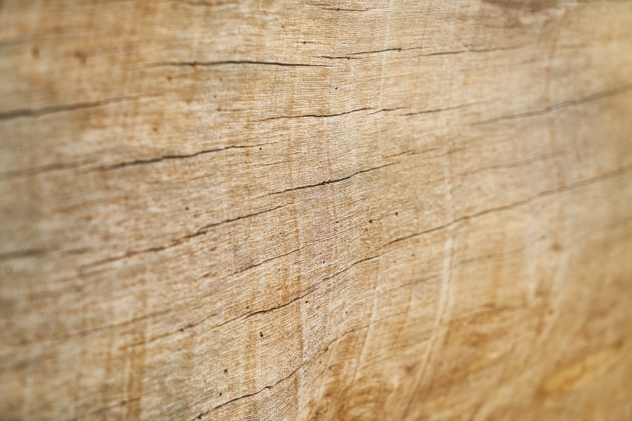 wood  wood-fibre boards  timber free photo