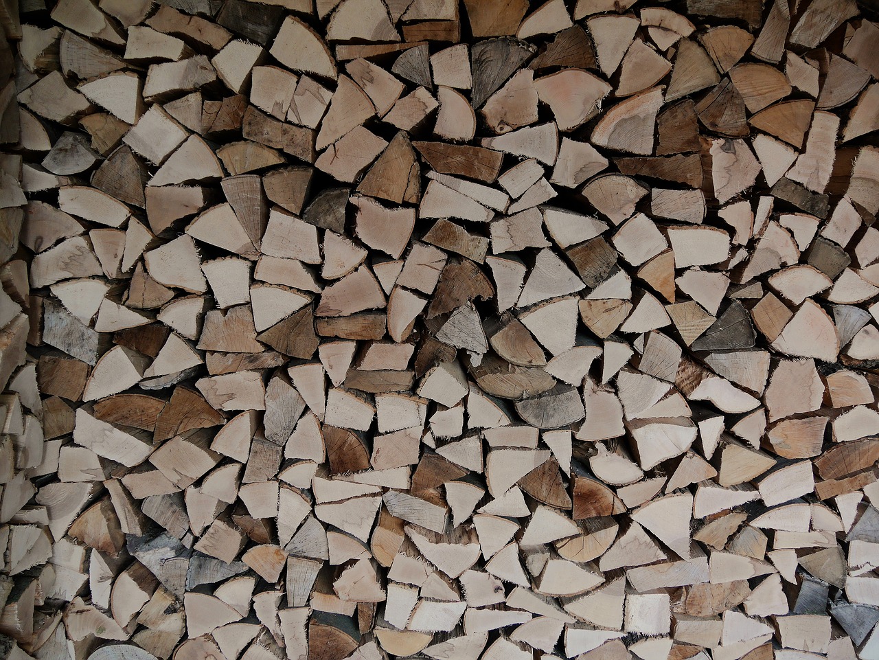wood  firewood  beech free photo