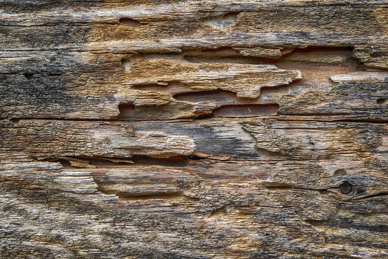 wood  texture  old free photo