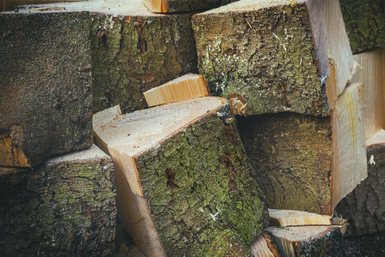 wood  firewood  holzstapel free photo
