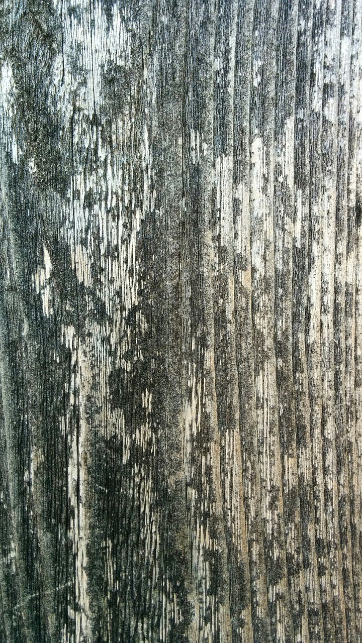 wood texture pattern free photo