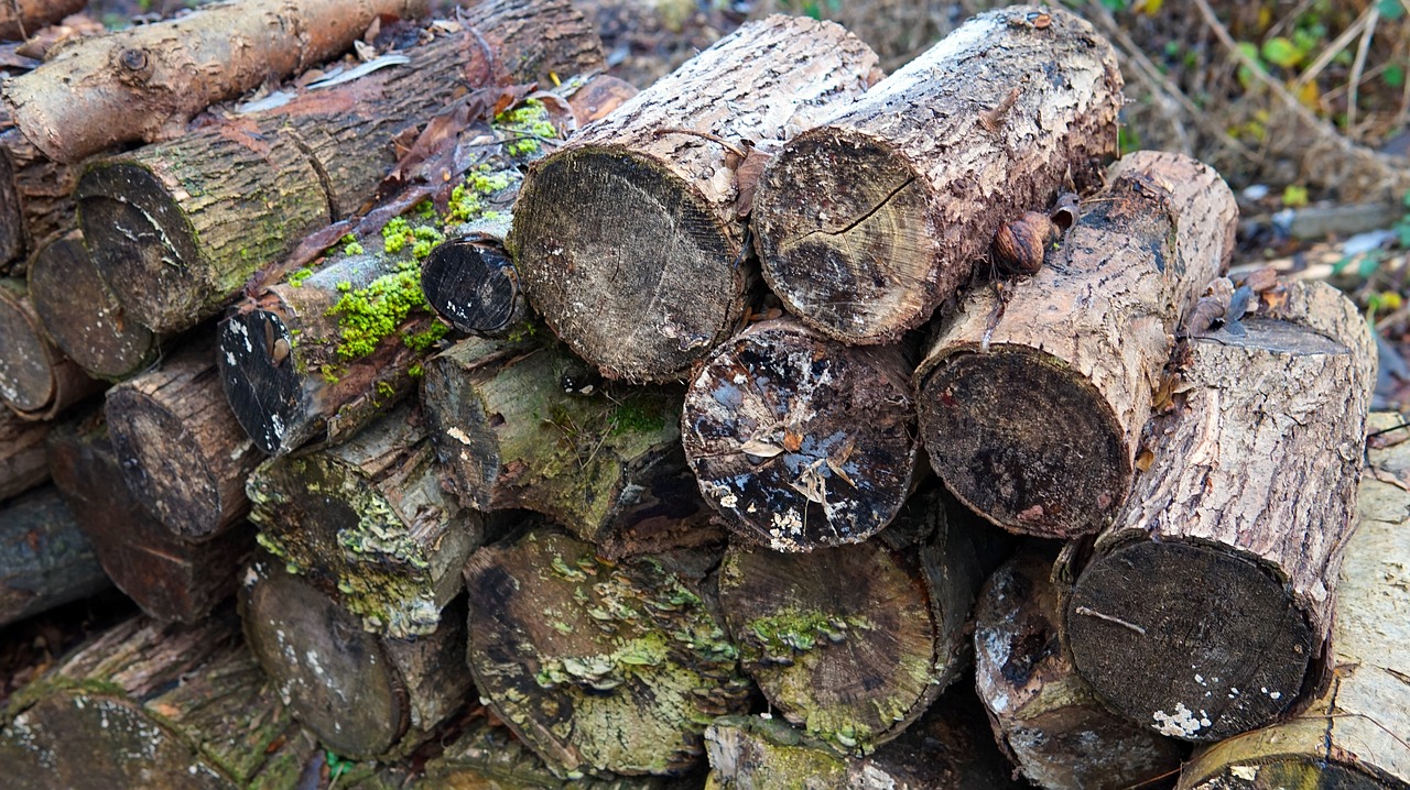 wood  stack  weathered free photo