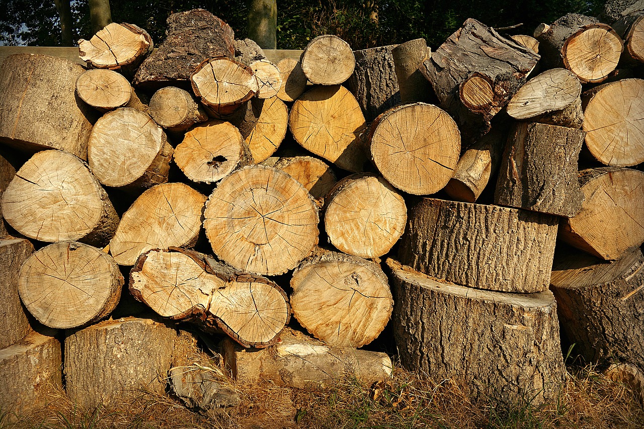 wood  chopped  log free photo