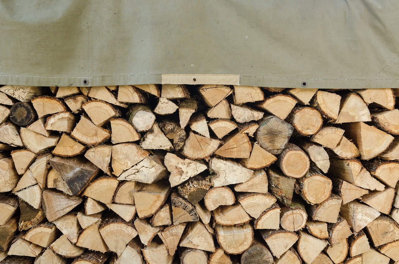 wood  heap  stere free photo