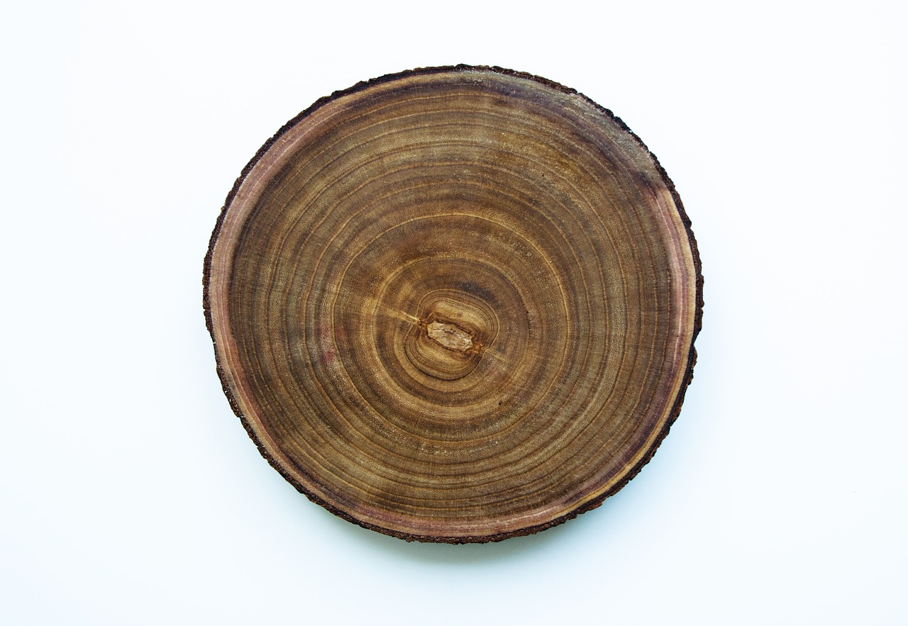 wood  wood grain  texture free photo