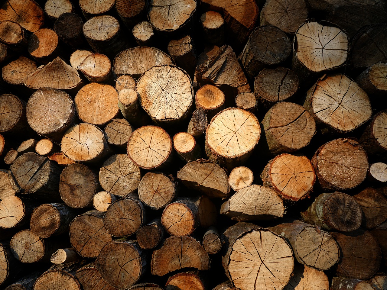 wood  logs  bucheronnage free photo