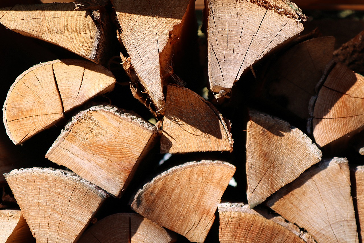 wood  holzstapel  firewood free photo