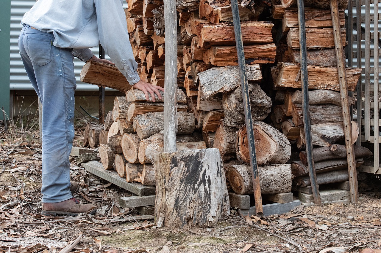 wood  wood pile  firewood free photo