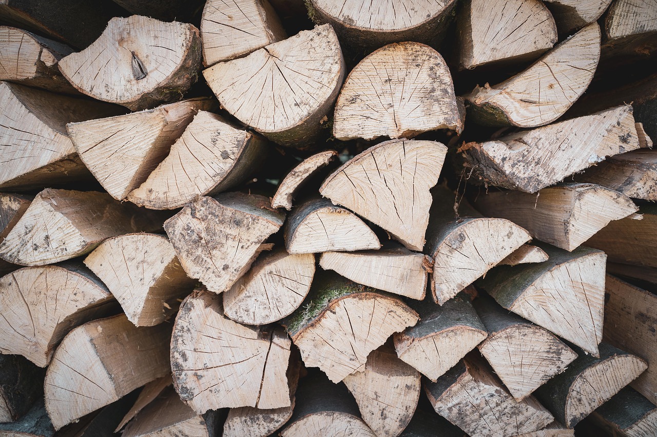 wood  log  pile of wood free photo