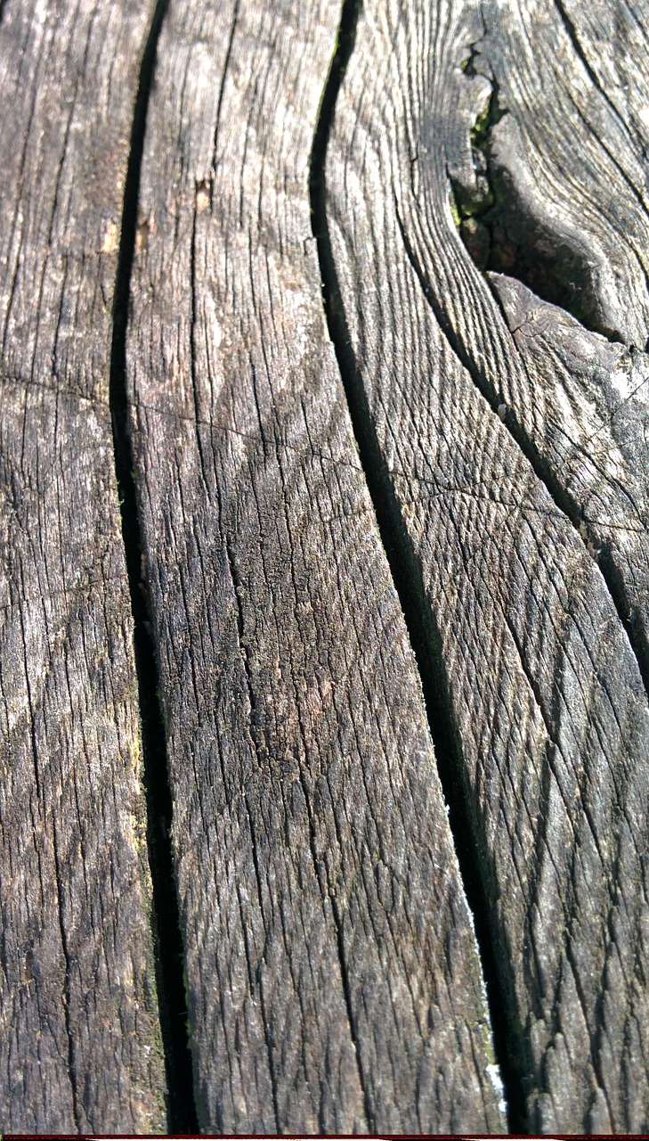 wood texture wooden free photo