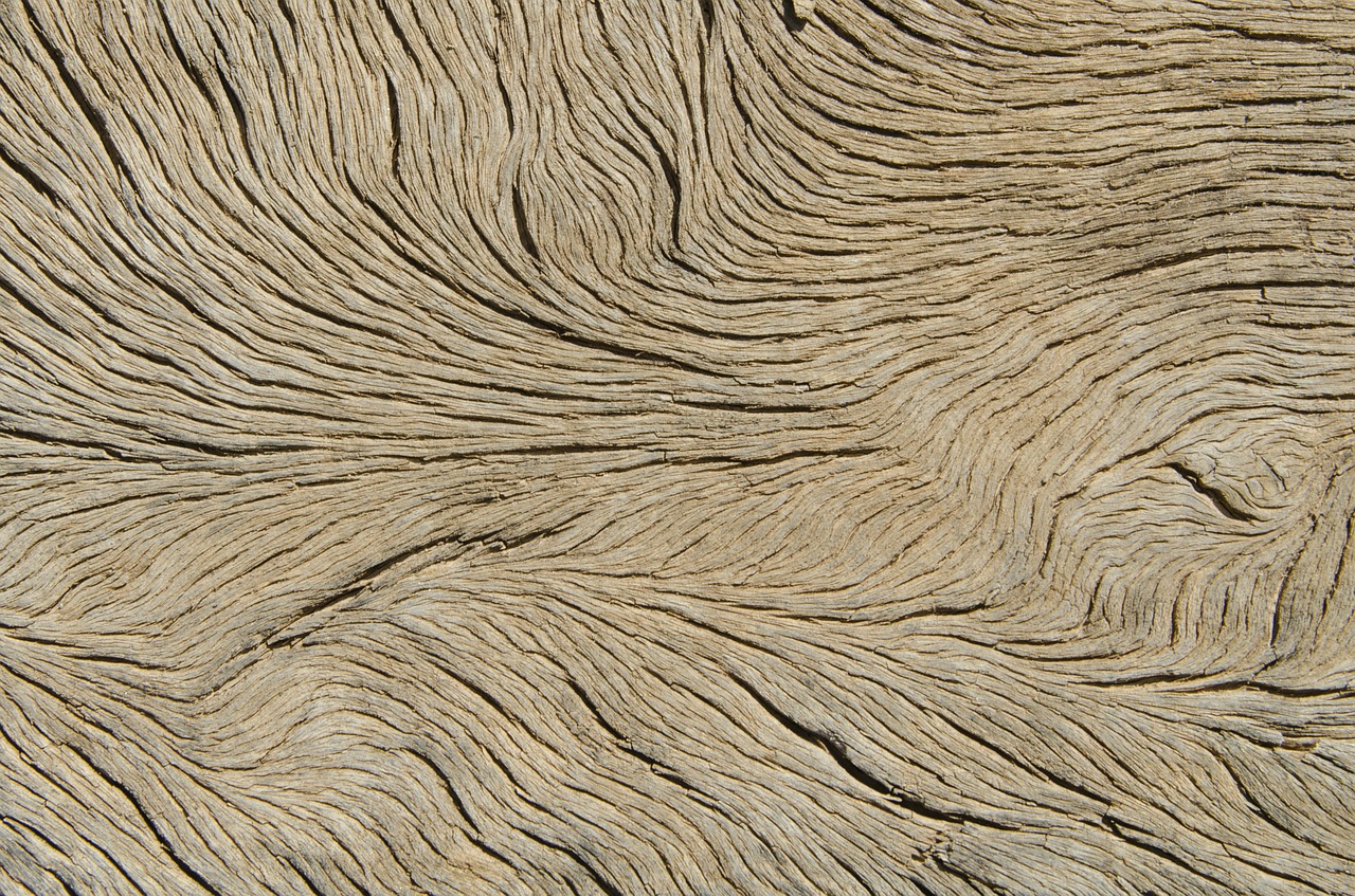 wood veins texture free photo