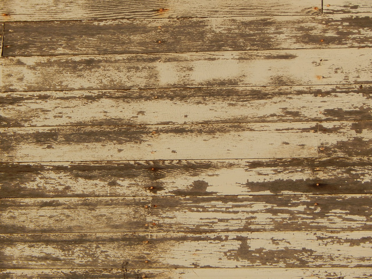 wood texture rustic free photo