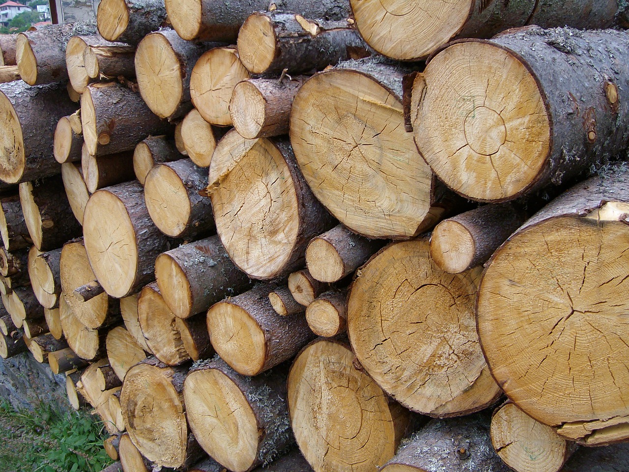 wood timber logging free photo