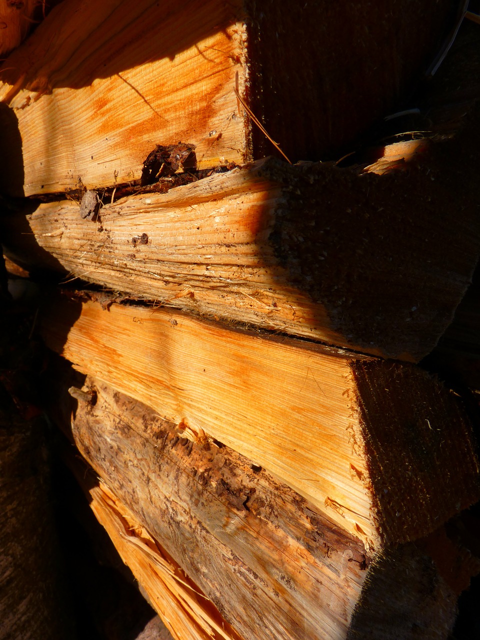 wood firewood log free photo