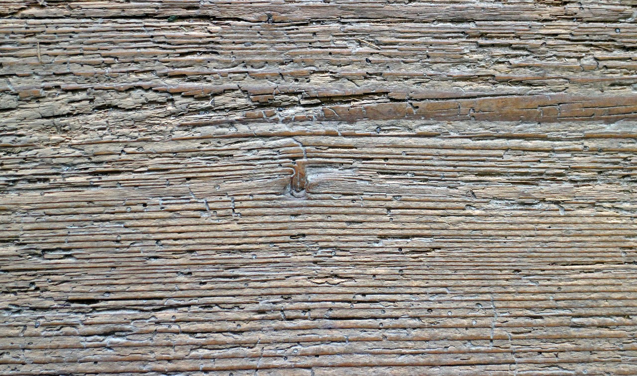 wood plank board free photo
