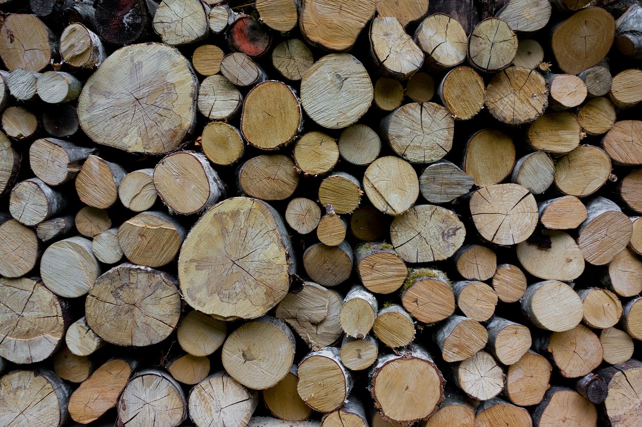 wood holzstapel forest workers free photo