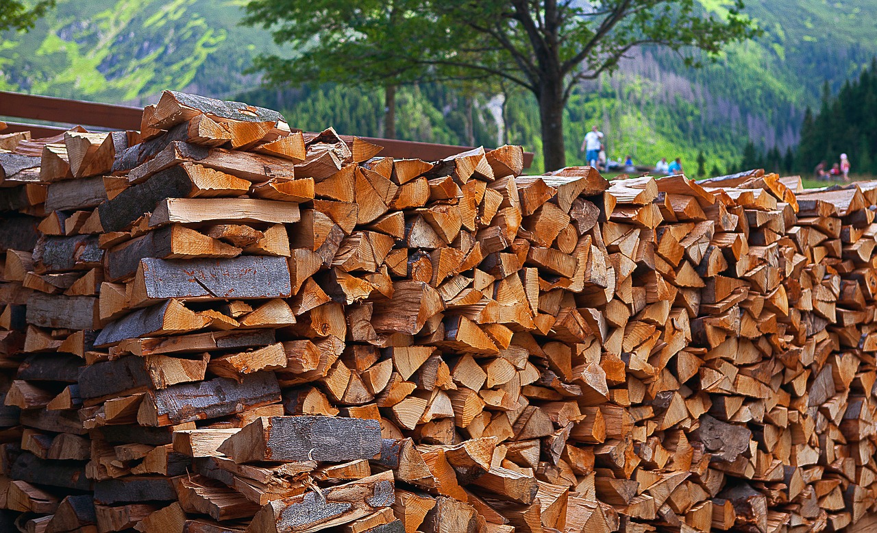 wood fuel firewood free photo
