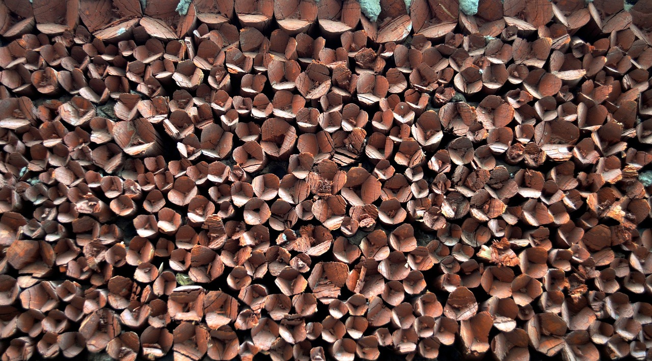 wood pattern ladakh free photo