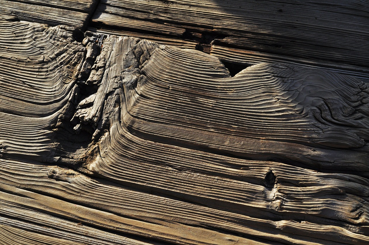 wood texture wooden free photo