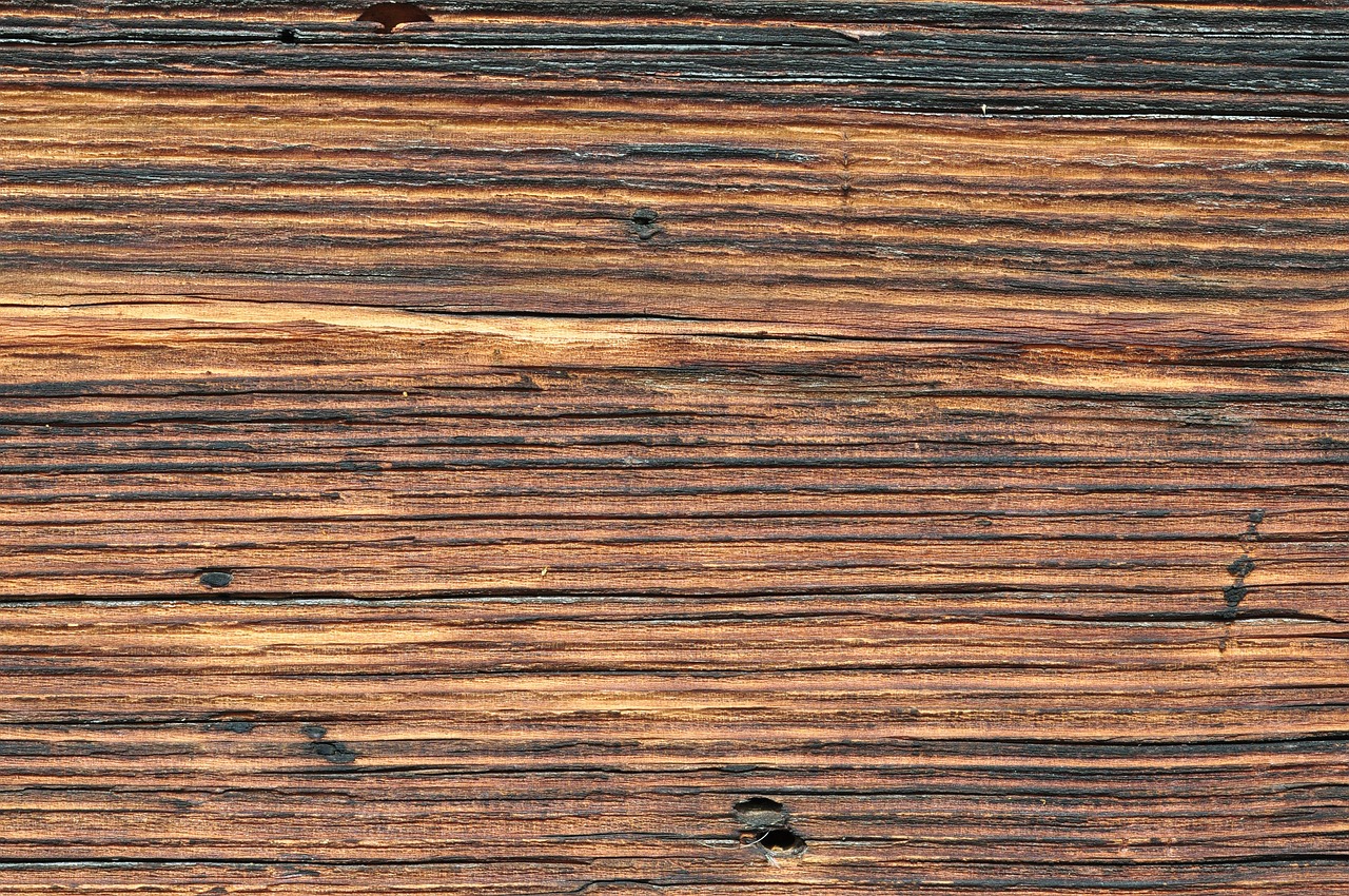 wood nature brown free photo