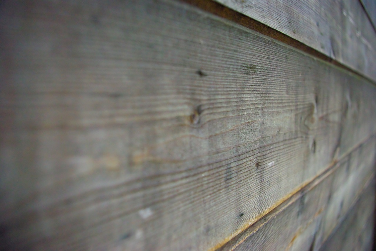 wood board perspective free photo