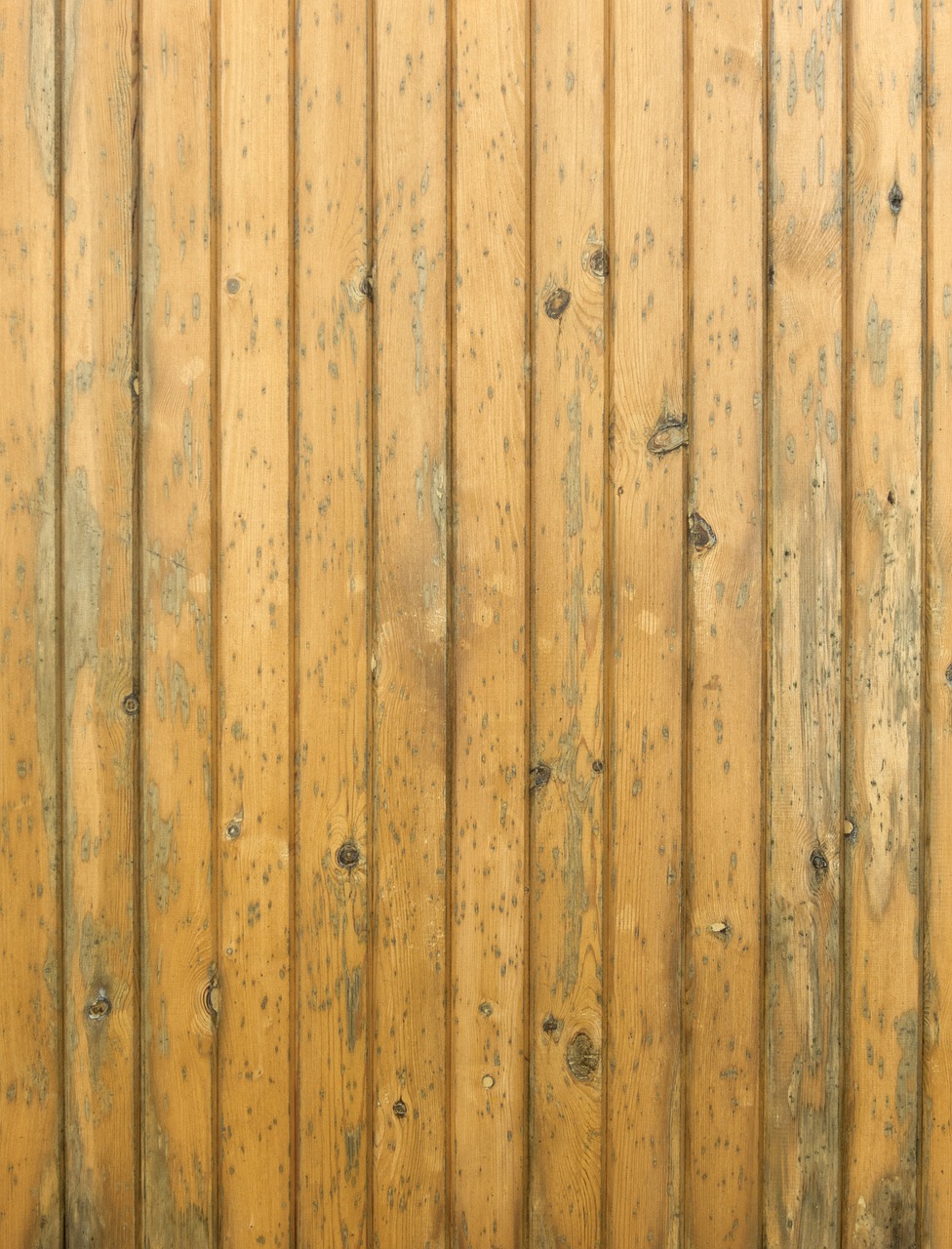 wood boards texture free photo
