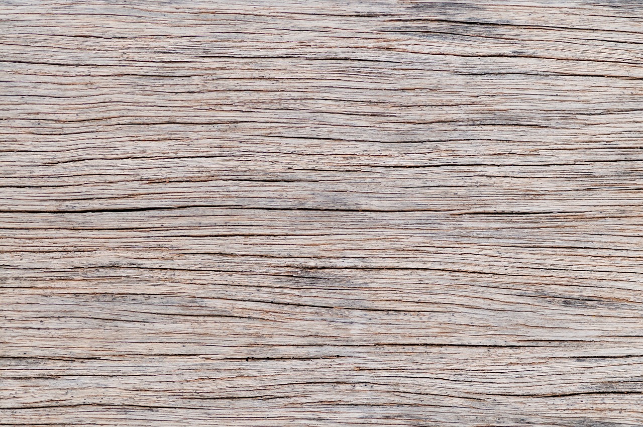 wood texture nerf free photo