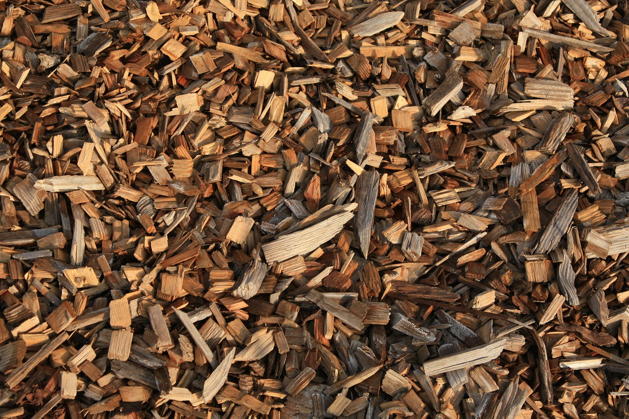 wood chips wood chips free photo