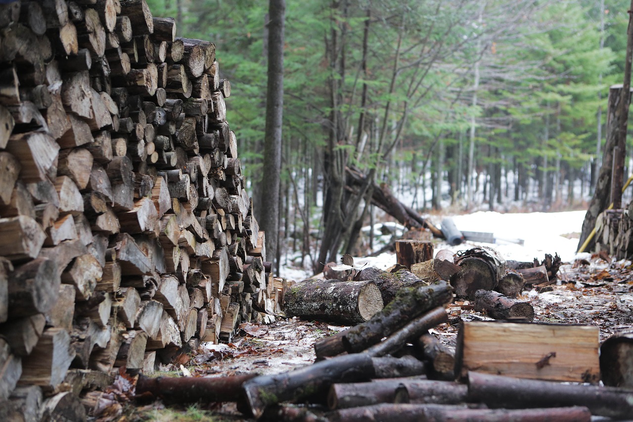 wood logs stack free photo
