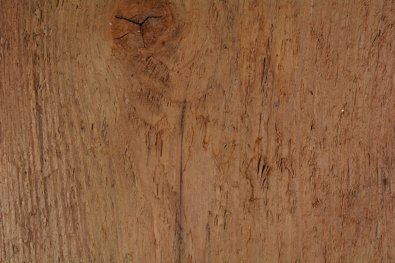 wood grain structure free photo