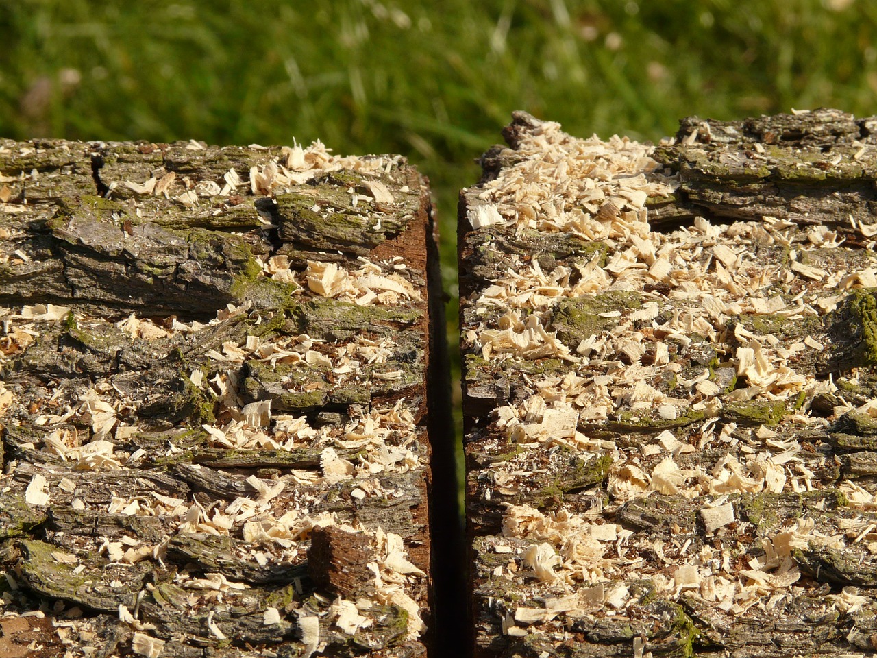 wood firewood sawdust free photo