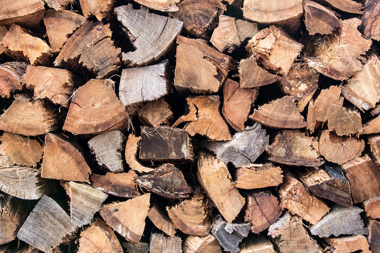 wood texture chips free photo