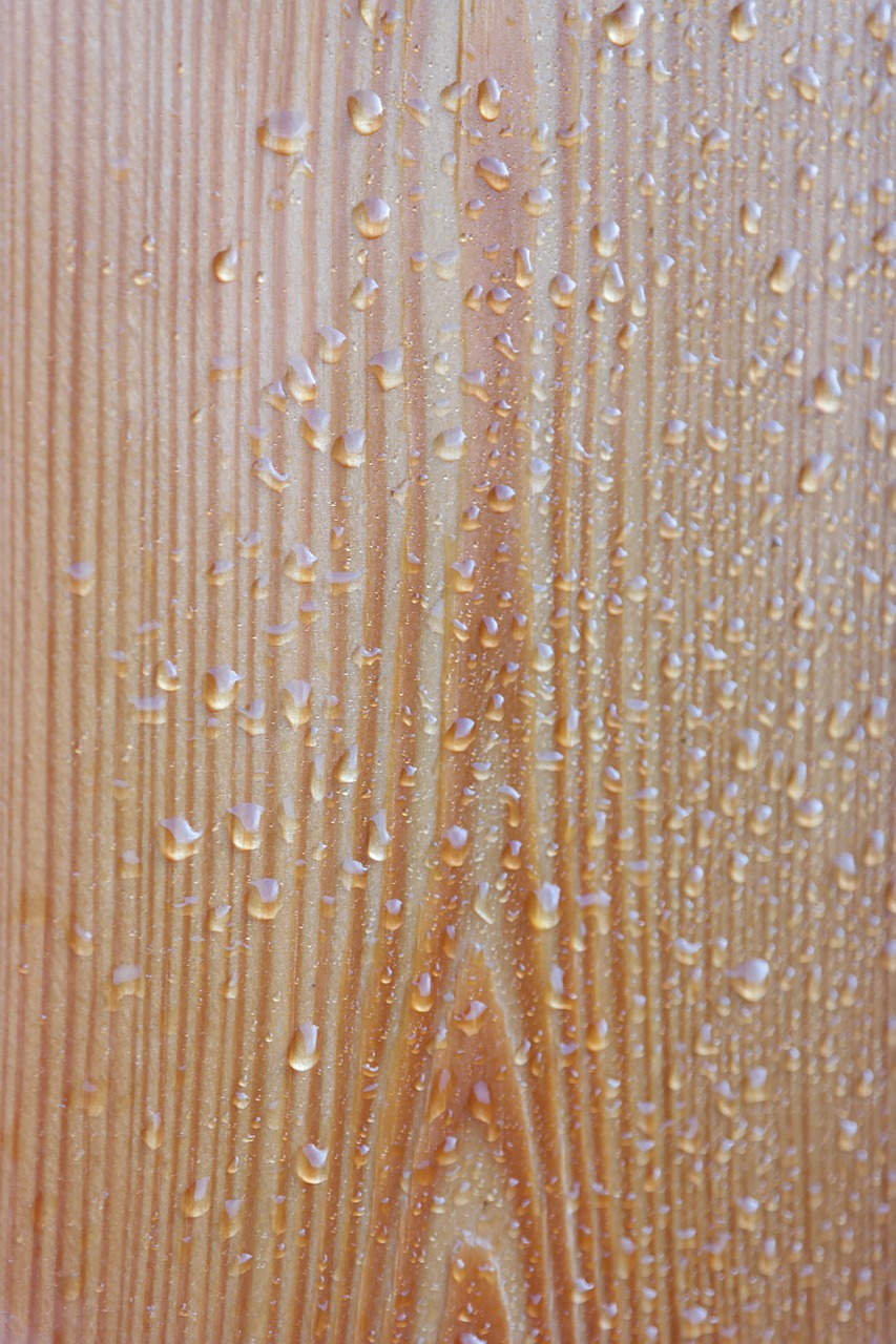 wood drip rain free photo