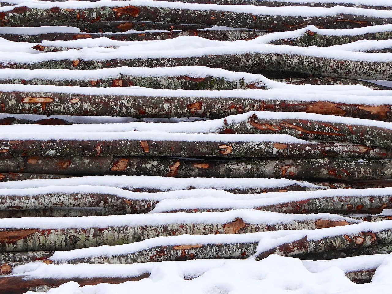 wood snow winter free photo