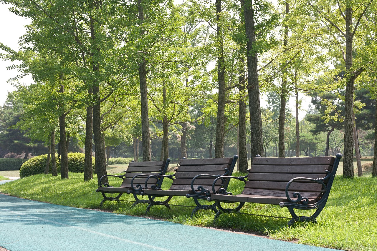 wood bench summer free photo